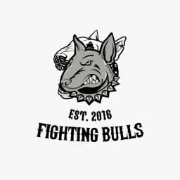 Bull squad logo