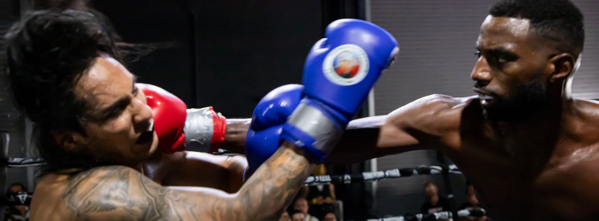 Main image of Bushido Muay Thai & Martial Arts Miami