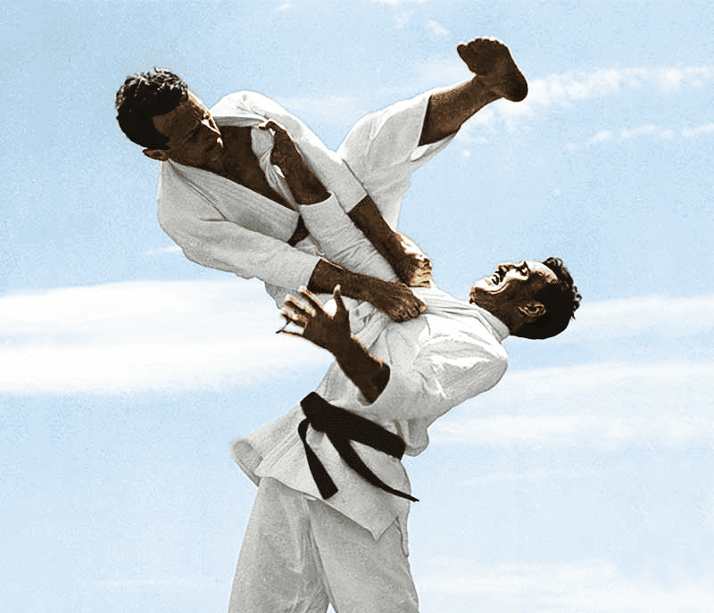 BY ANY MEANS JIU-JITSU logo