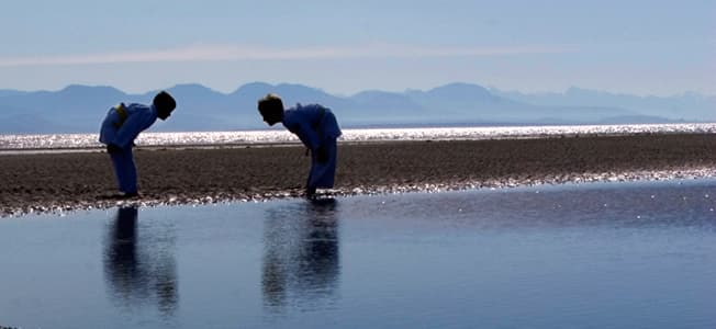 Main image of Campbell RIver Judo Club