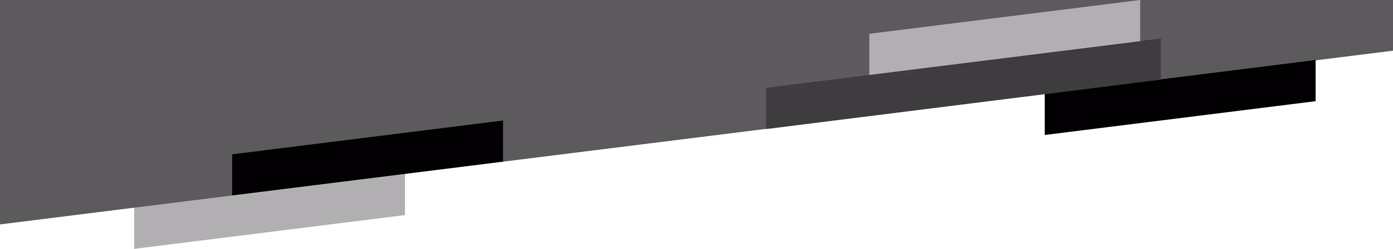 Chad Shepherd Academy of MMA logo