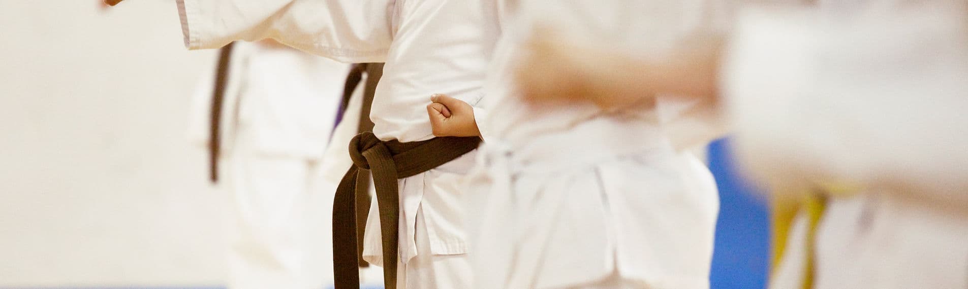 Main image of Champions Martial Arts