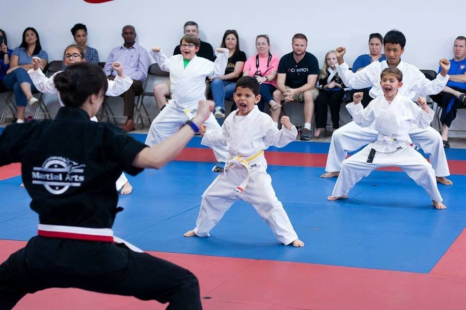 Main image of Championship Martial Arts, Spring Branch