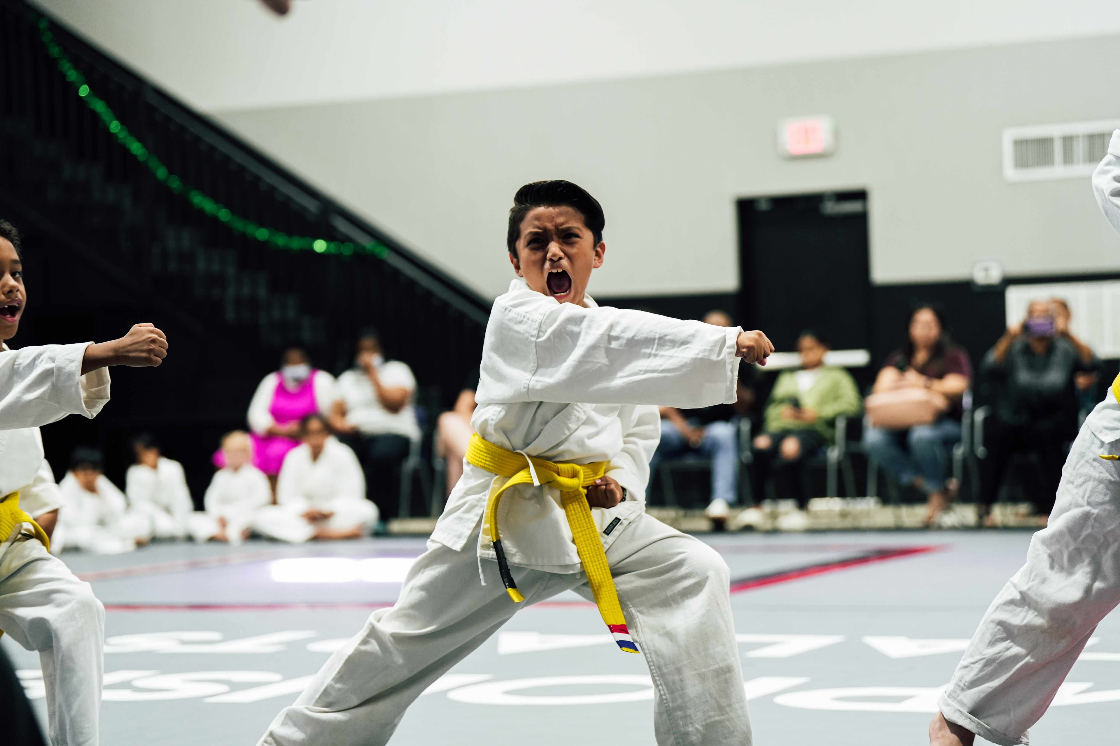 Championship Martial Arts - World Training Center logo