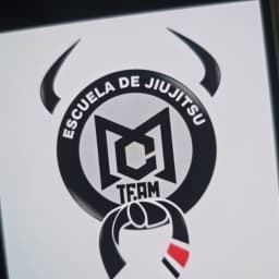 Checkmat internacional logo