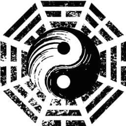 CHEN TAIJIN logo