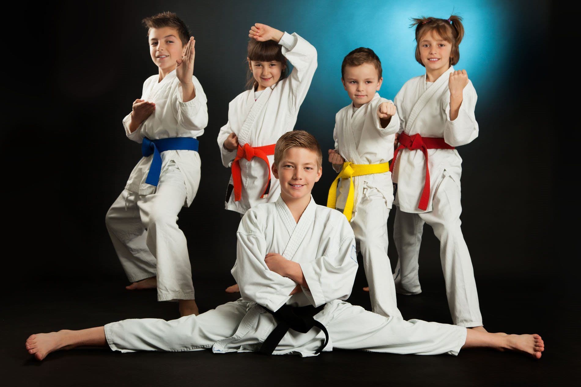 Main image of Chozen Martial Arts