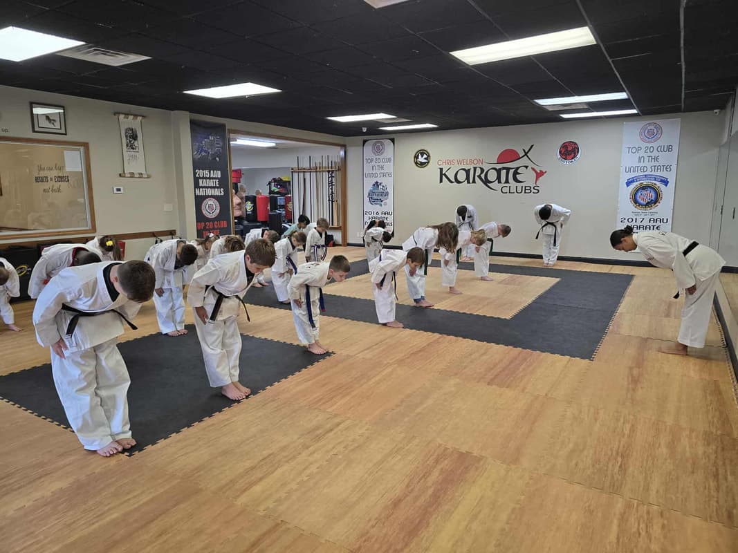 Main image of Chris Welbon Karate Clubs