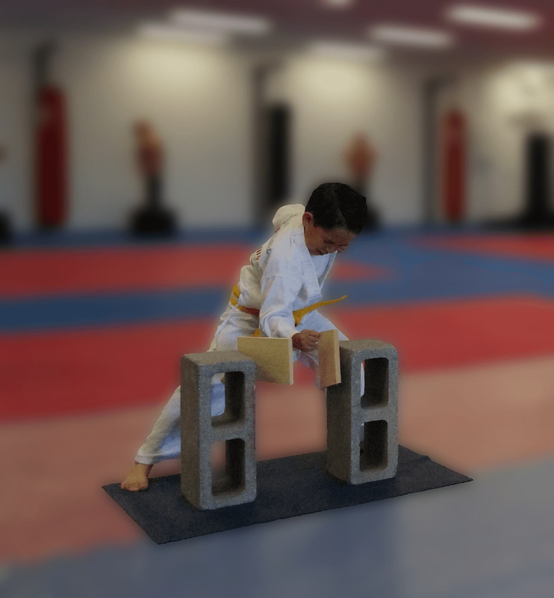 CKD Academy of Martial Arts logo