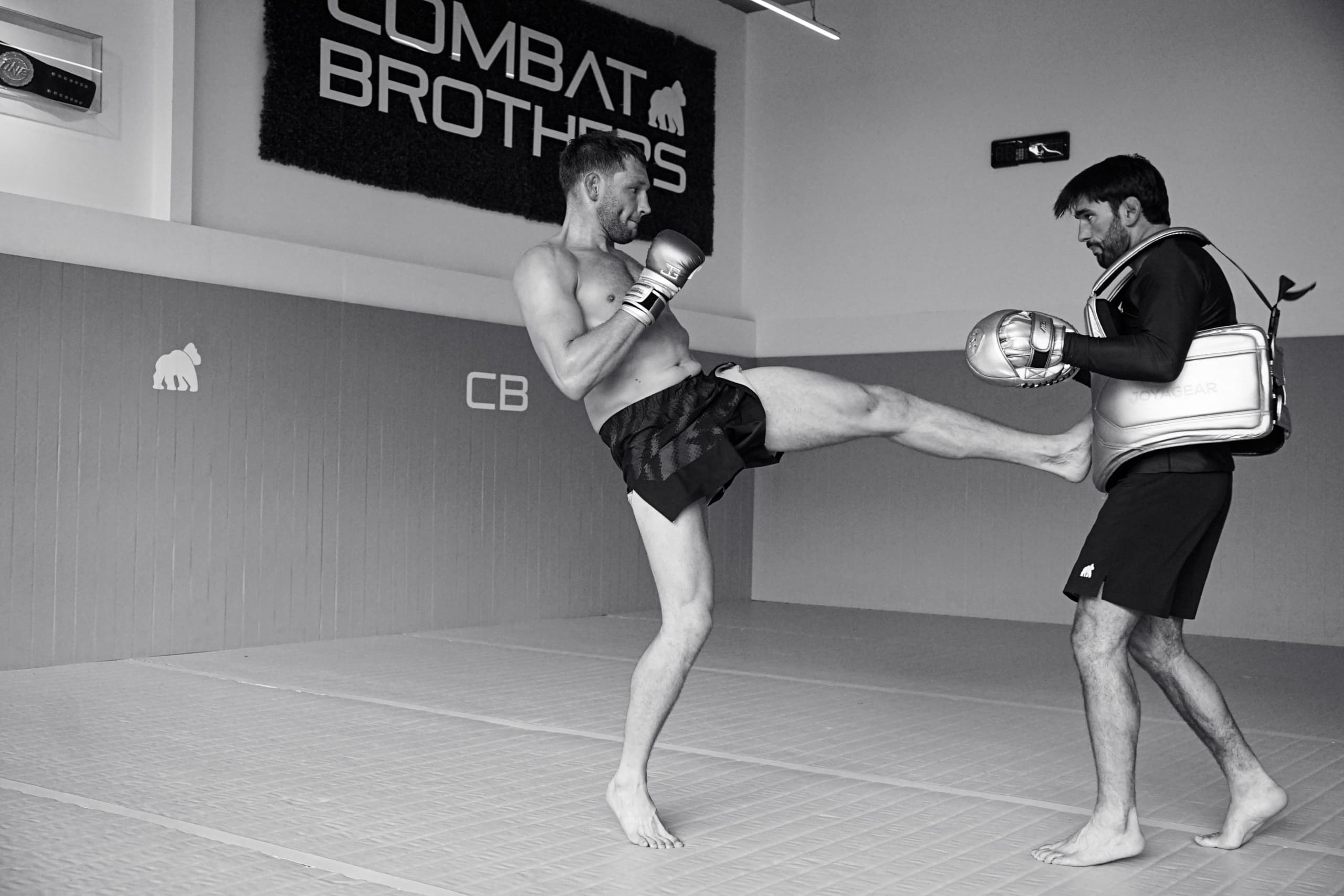Main image of Combat Brothers