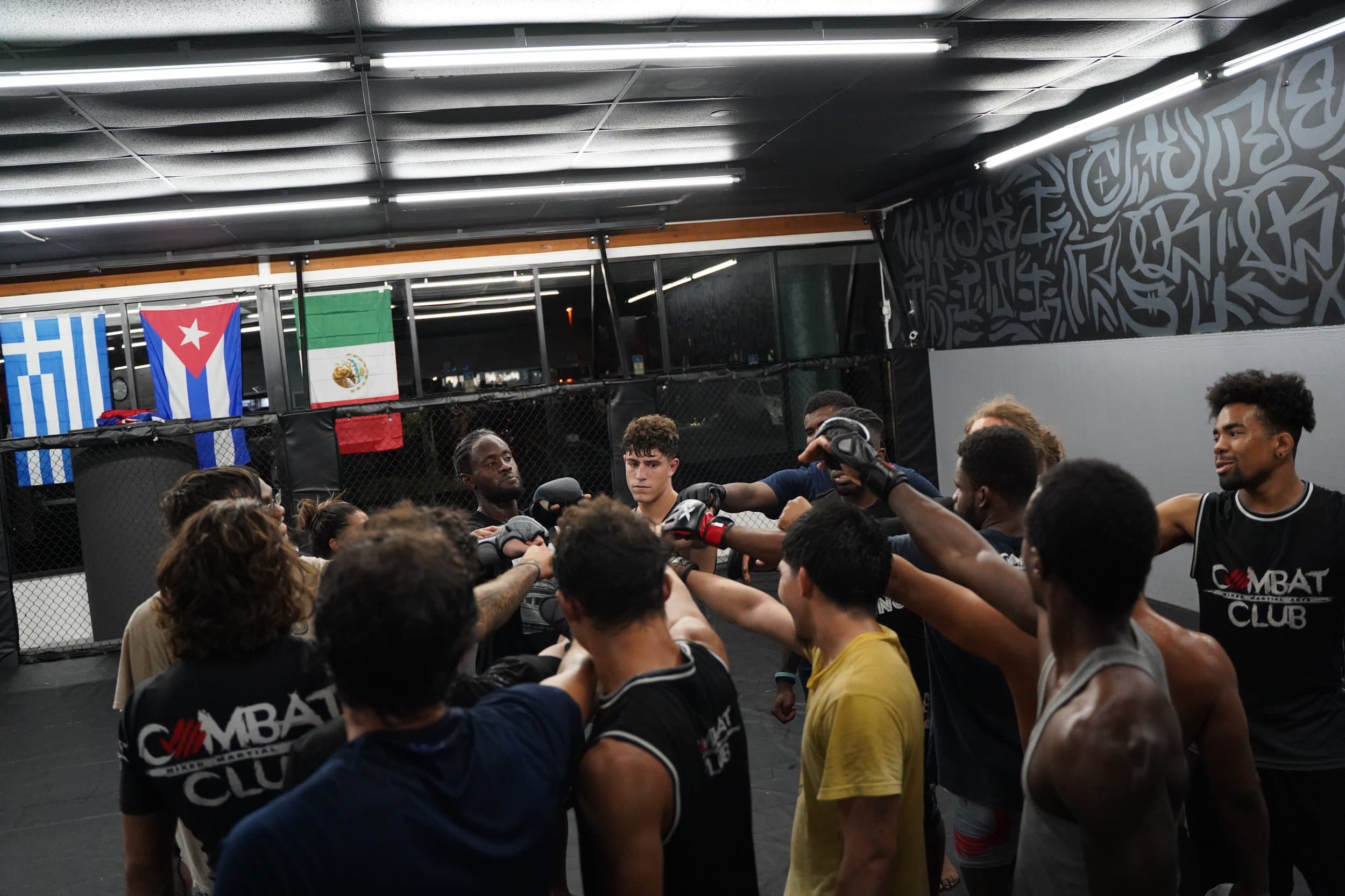 Main image of Combat Club