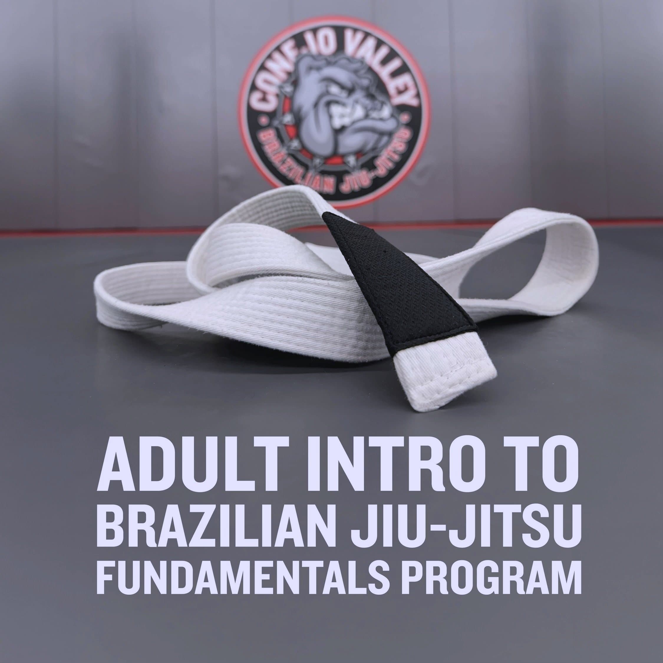Main image of Conejo Valley Brazilian Jiu-Jitsu