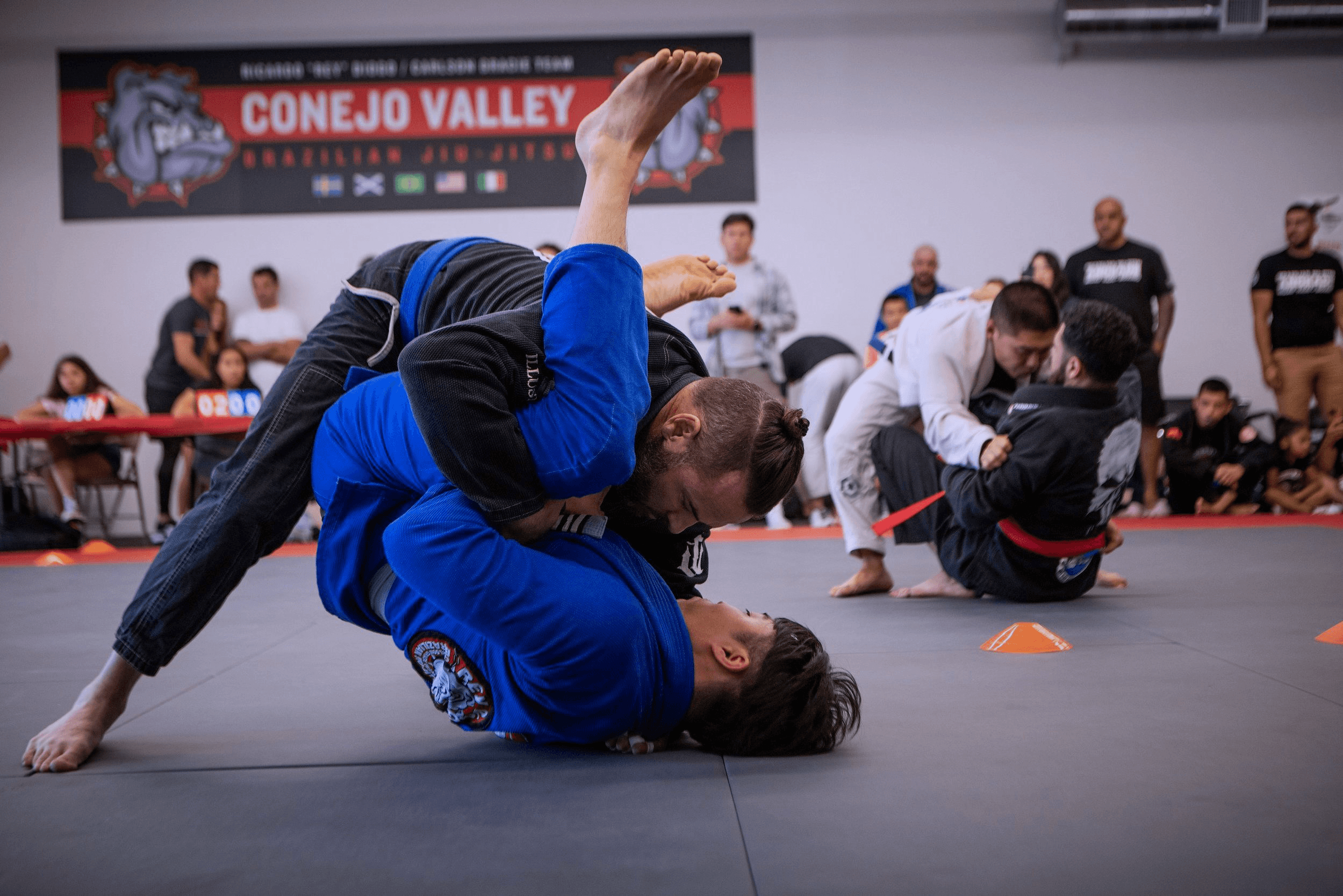 Conejo Valley Brazilian Jiu-Jitsu logo
