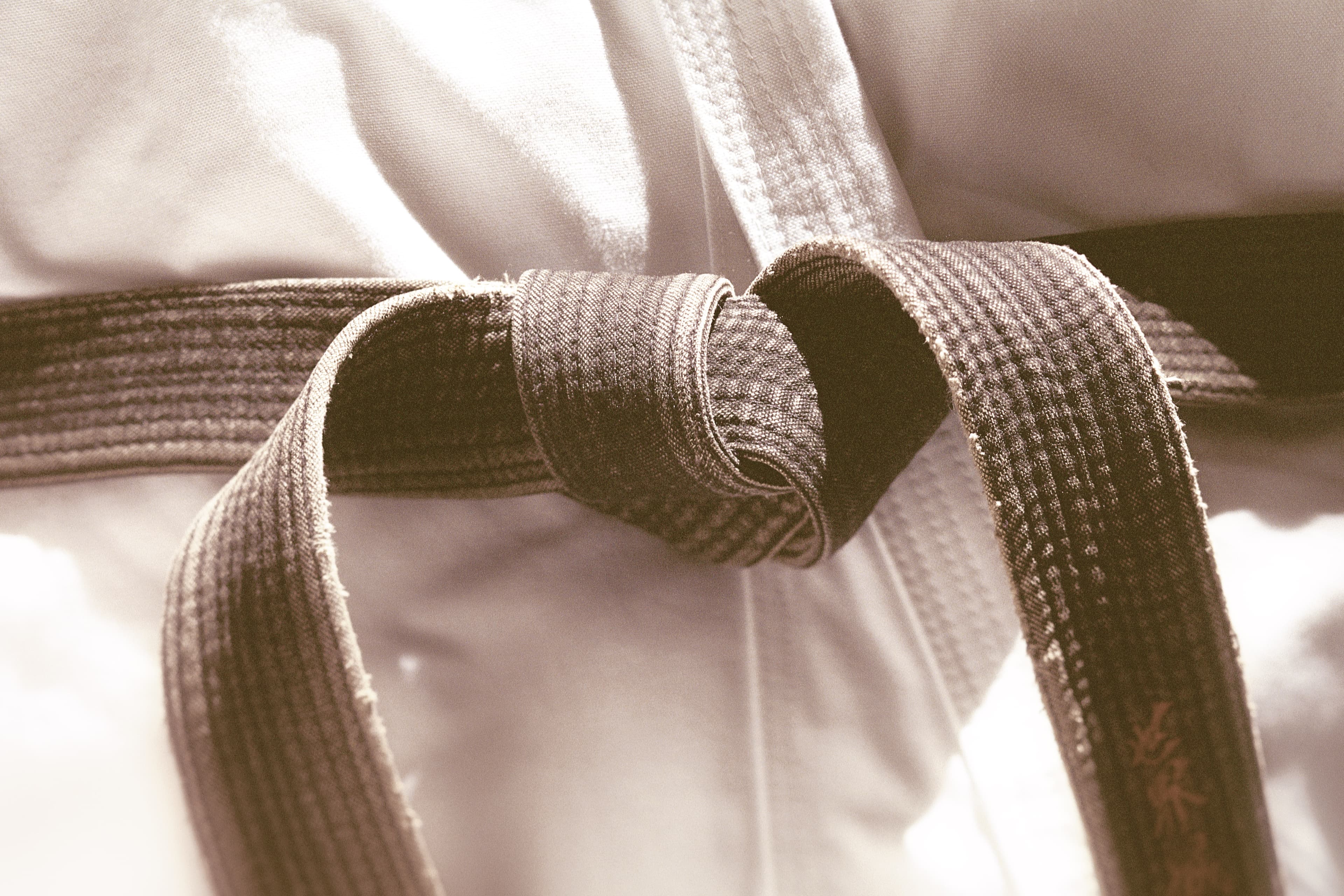 Corona USA Taekwondo Hapkido Martial Arts Center logo