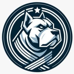Corso BJJ logo