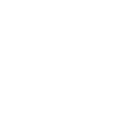 Crispim BJJ Barra Brothers logo