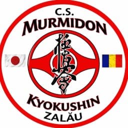 CS Murmidon Kyokushin Zalău logo