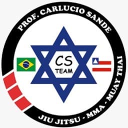 CS TEAM logo