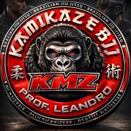 CT KMZ logo