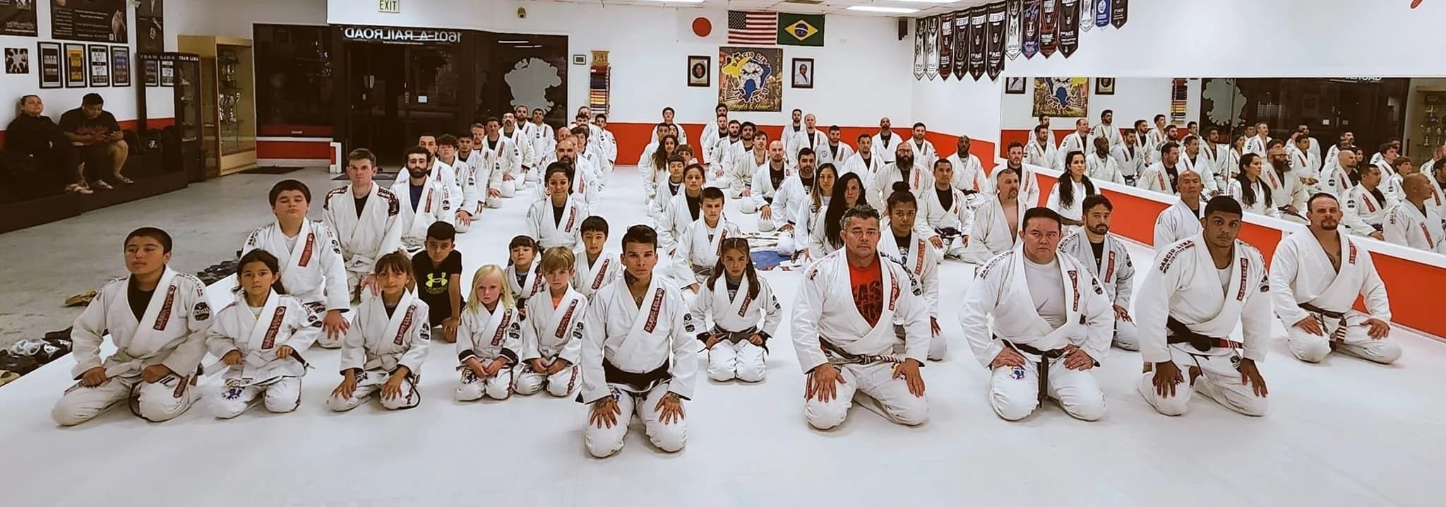 Darcio Lira Brazilian Jiu Jitsu and Martial Arts logo