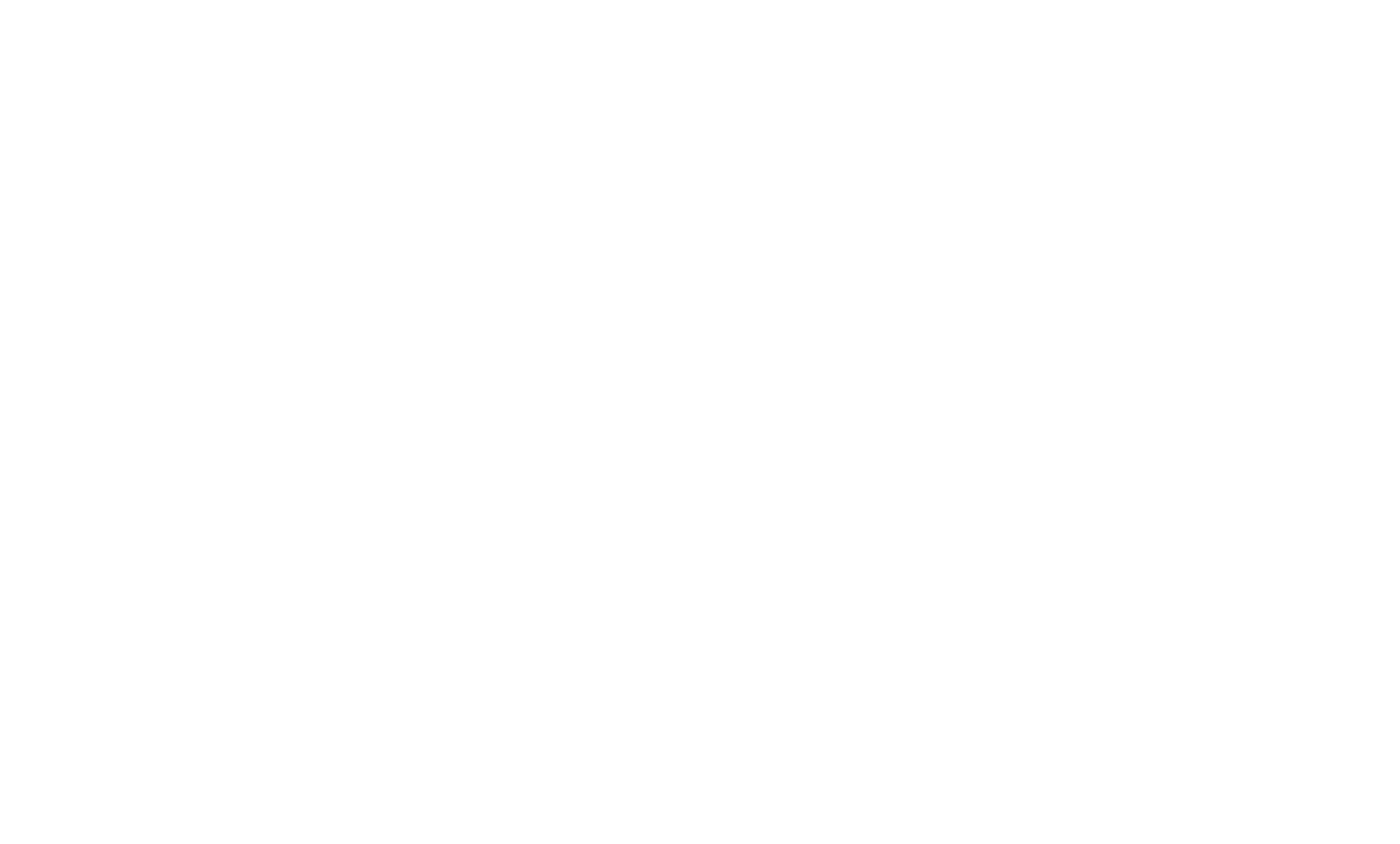 David Vincent's Martial Arts & Fitness logo