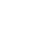 DaVinci Jiu Jitsu logo