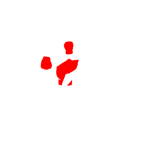 Denver Kickboxing and Fitness logo
