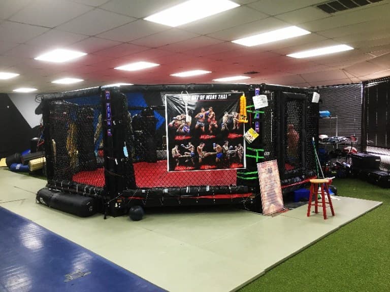 Main image of DFW MMA - Jiu Jitsu & Muay Thai Boxing Fight Team - Arlington