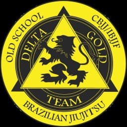 DGT internacional logo