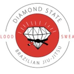 Diamond State BJJ/Lovato Delaware logo