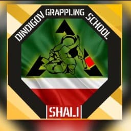 DINDIGOV GRAPPLING SCHOOL logo