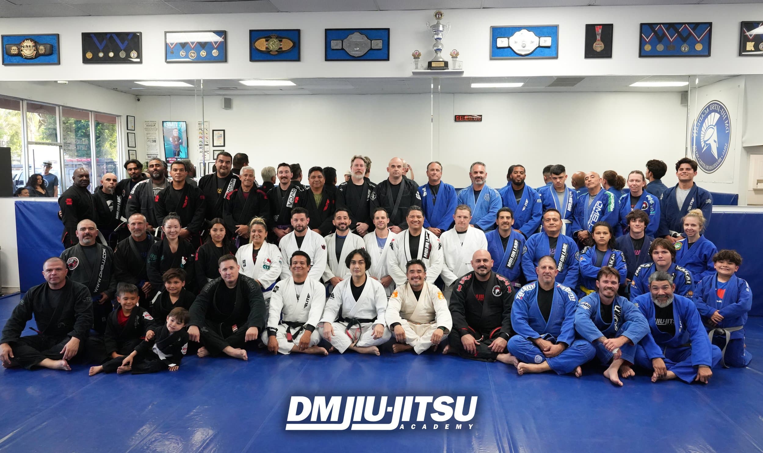 Main image of DM Brazilian Jiu-Jitsu Academy