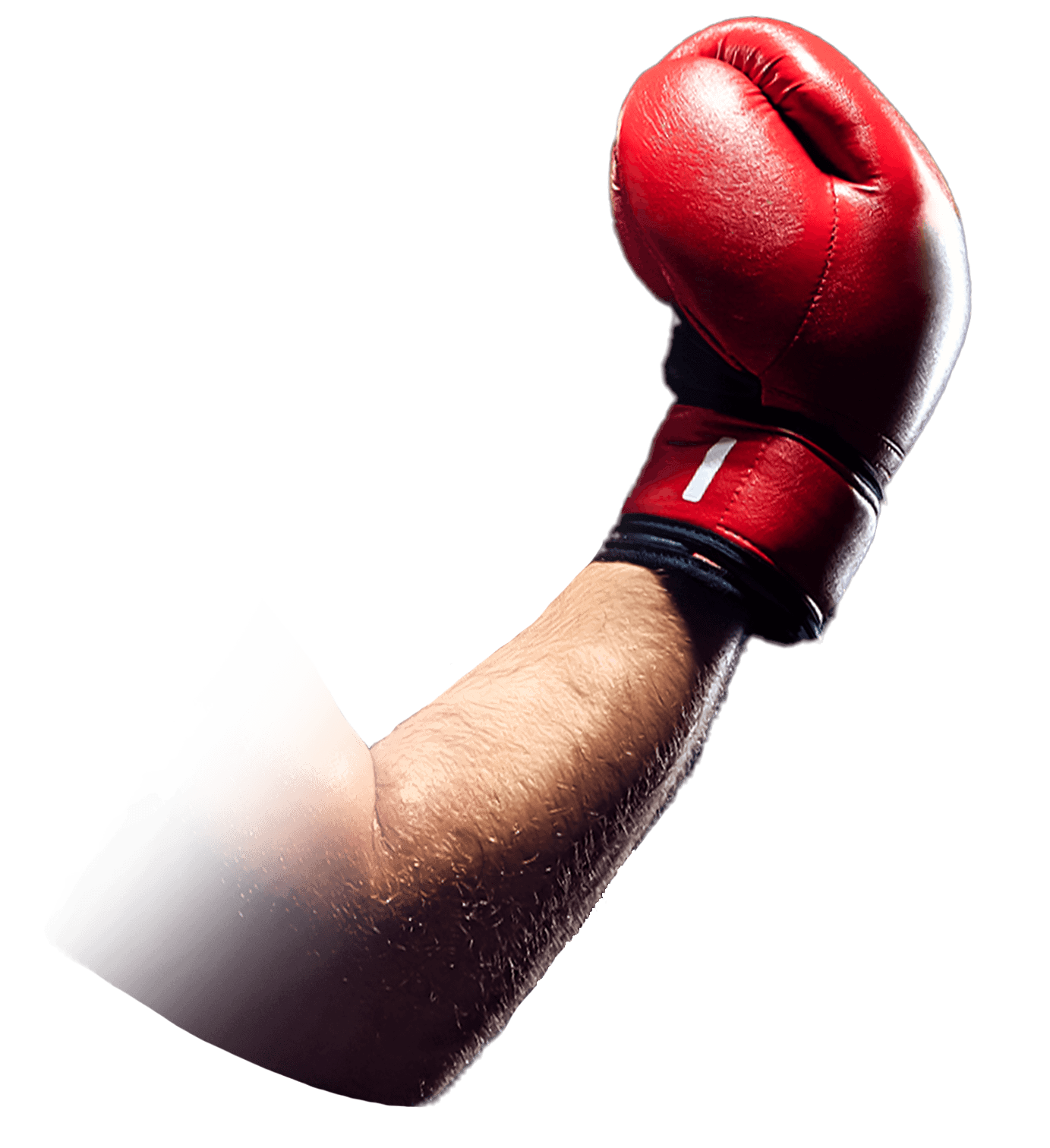 Main image of Dog Pound Boxing & Fitness | Red Deer's Premier Boxing Gym