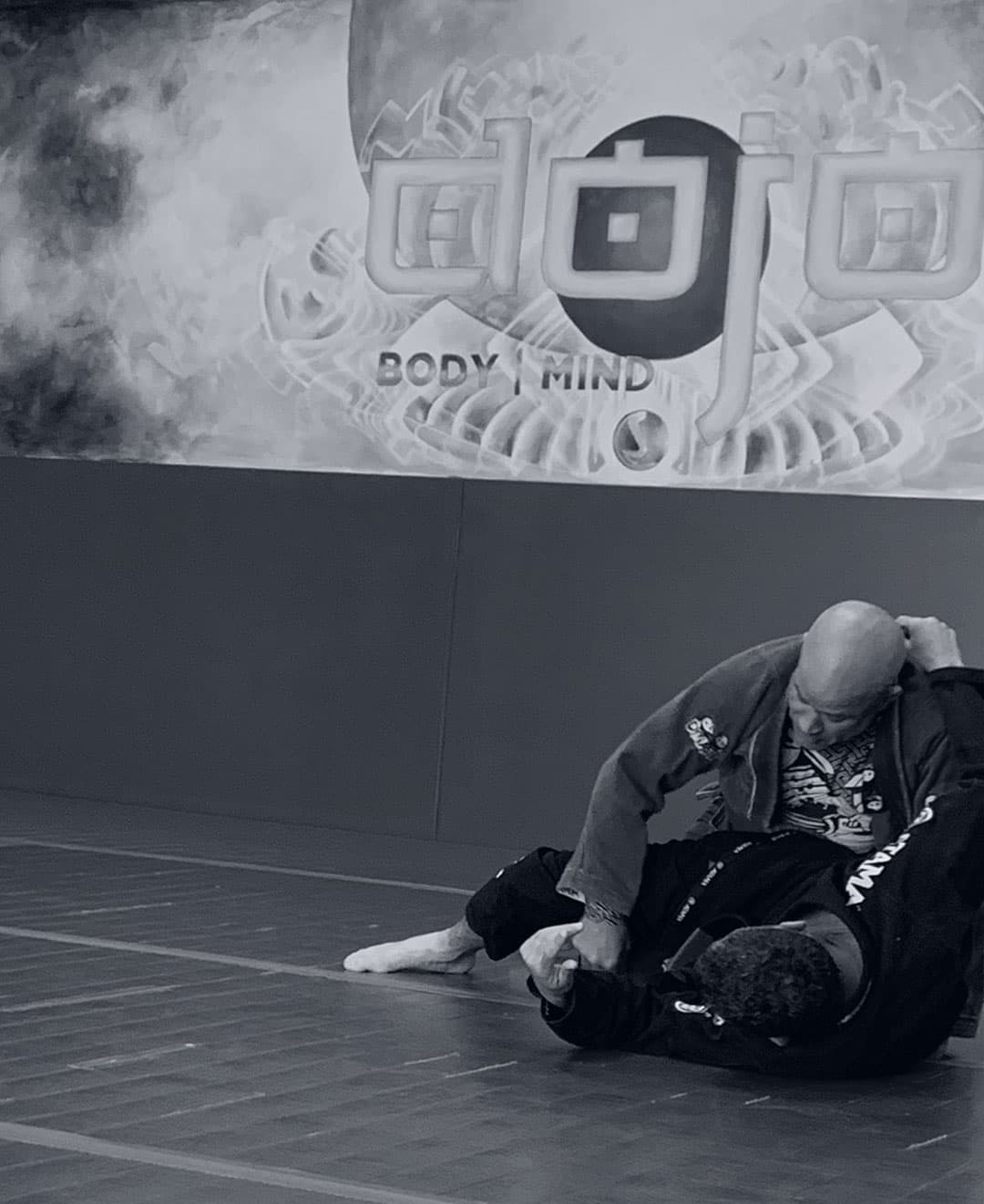 Main image of Dojo Arts