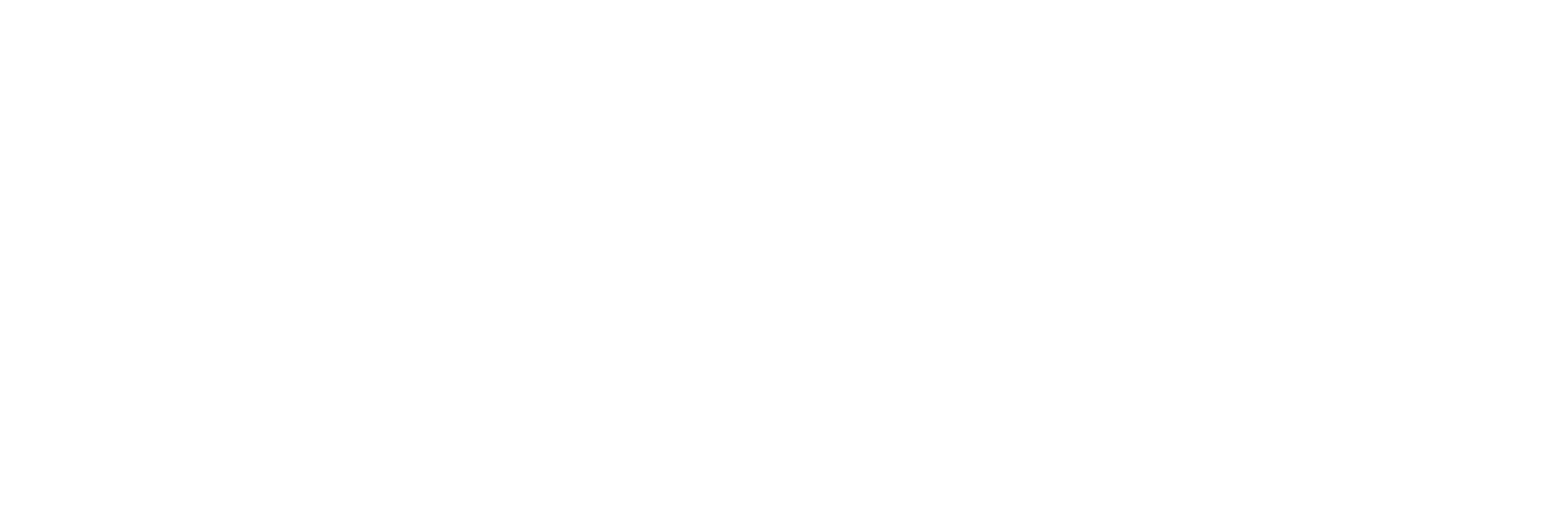 DOWNTOWN JIU JITSU logo