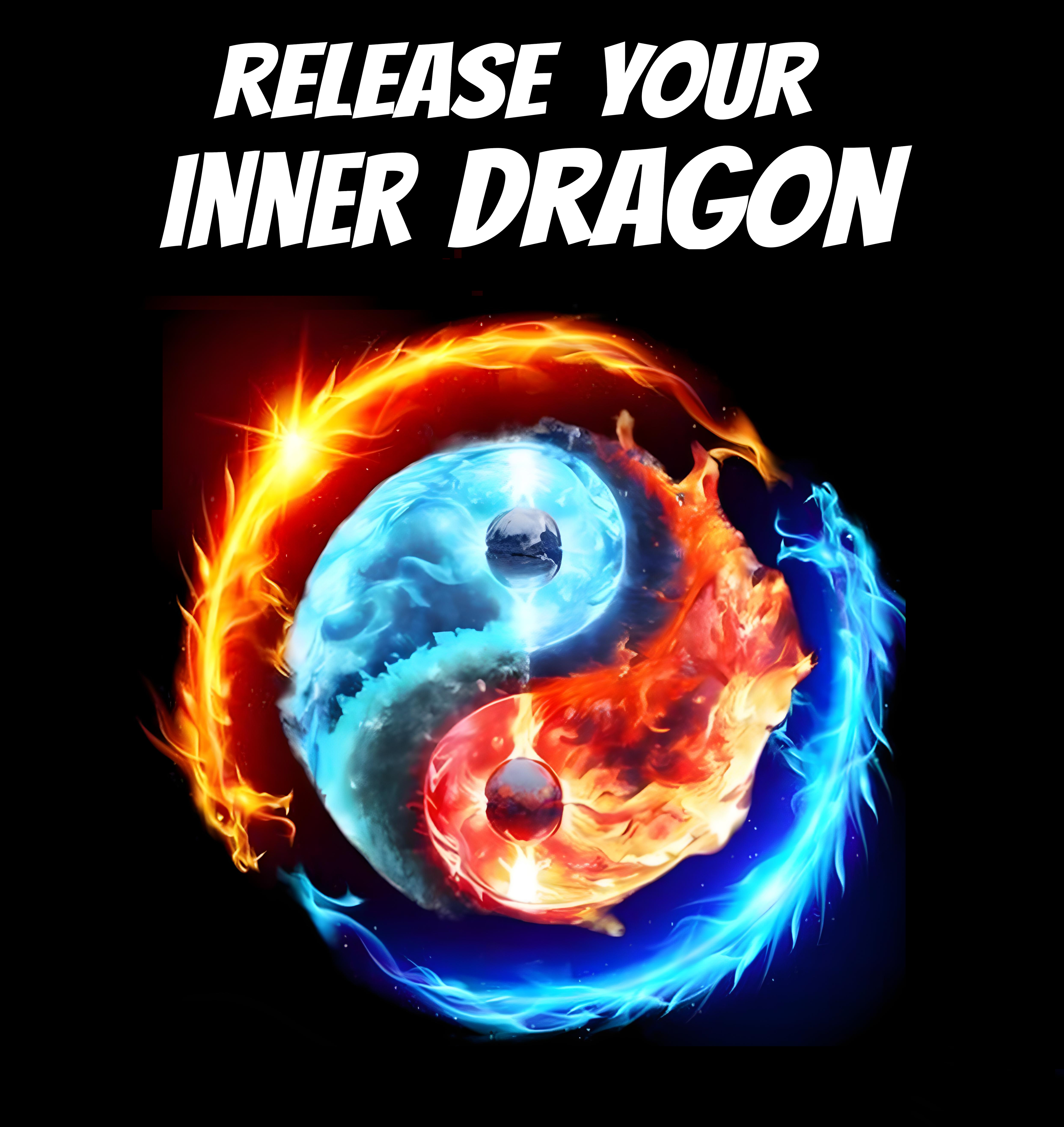 Dragon Fist MMA logo