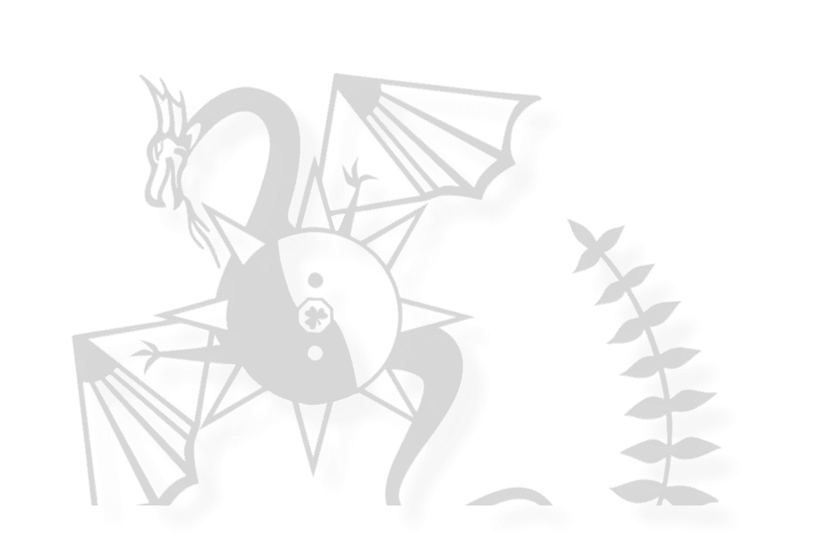 Main image of Dragon Star Kung Fu