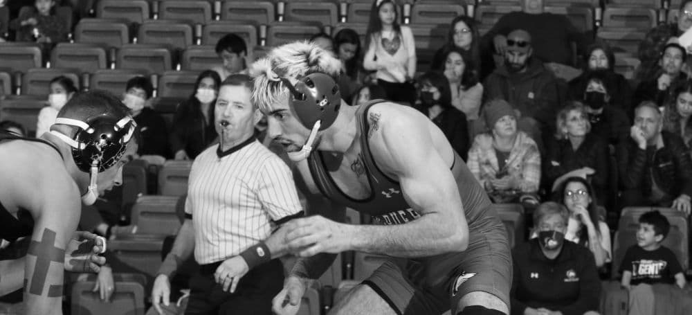 Main image of Dragon Wrestling CO