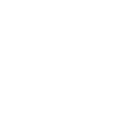 Dynamic Mixed Martial Arts logo