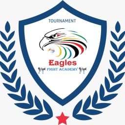 Eagles fight academy logo