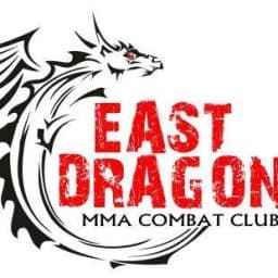 East Dragon Martial Arts Academy logo