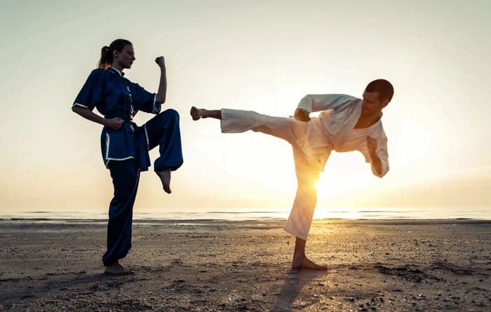 Ed Hernandez Karate logo