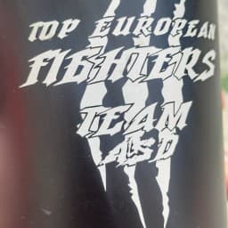 Efrem belussi logo