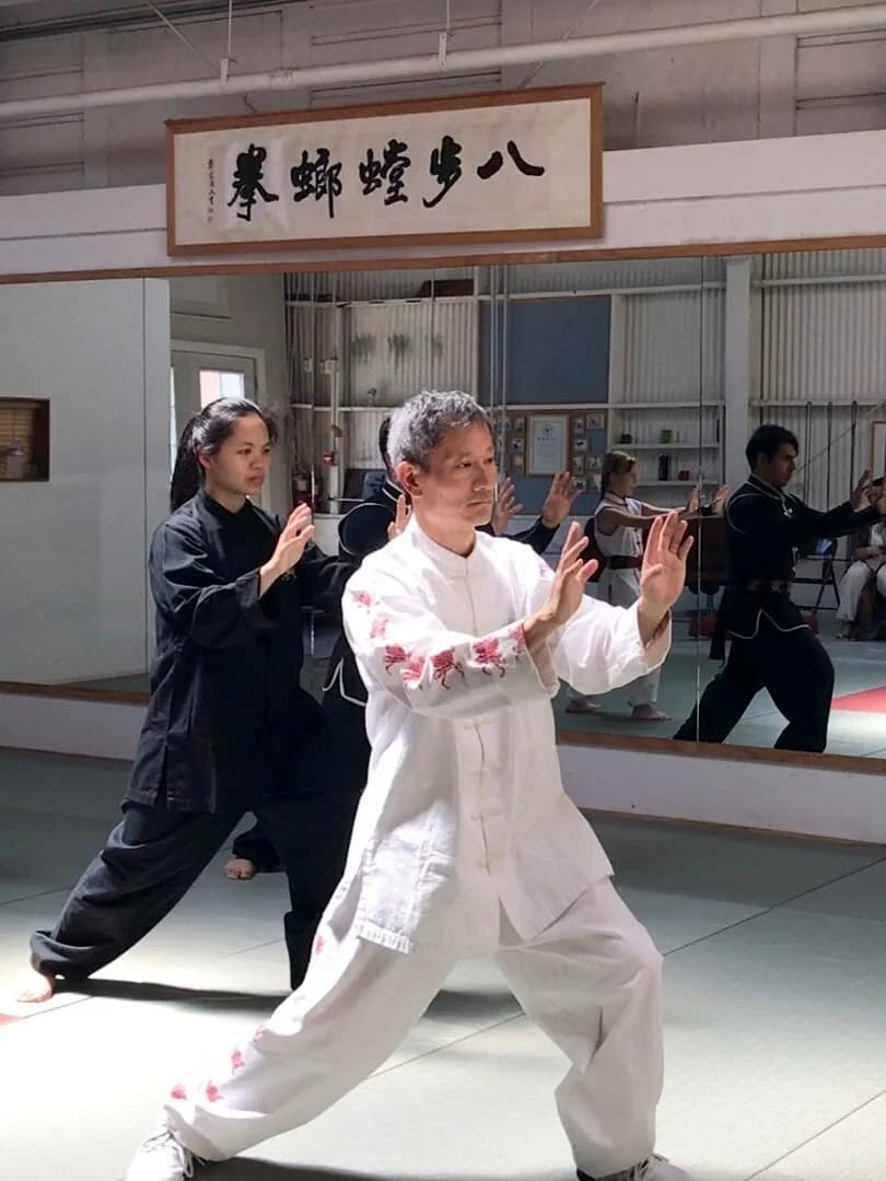Main image of Eight Step Mantis Kung Fu & Taiji