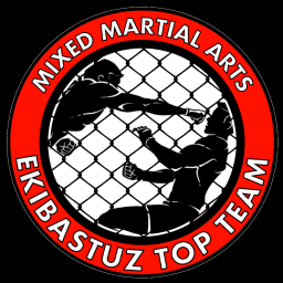 Ekibastuz Top Team logo