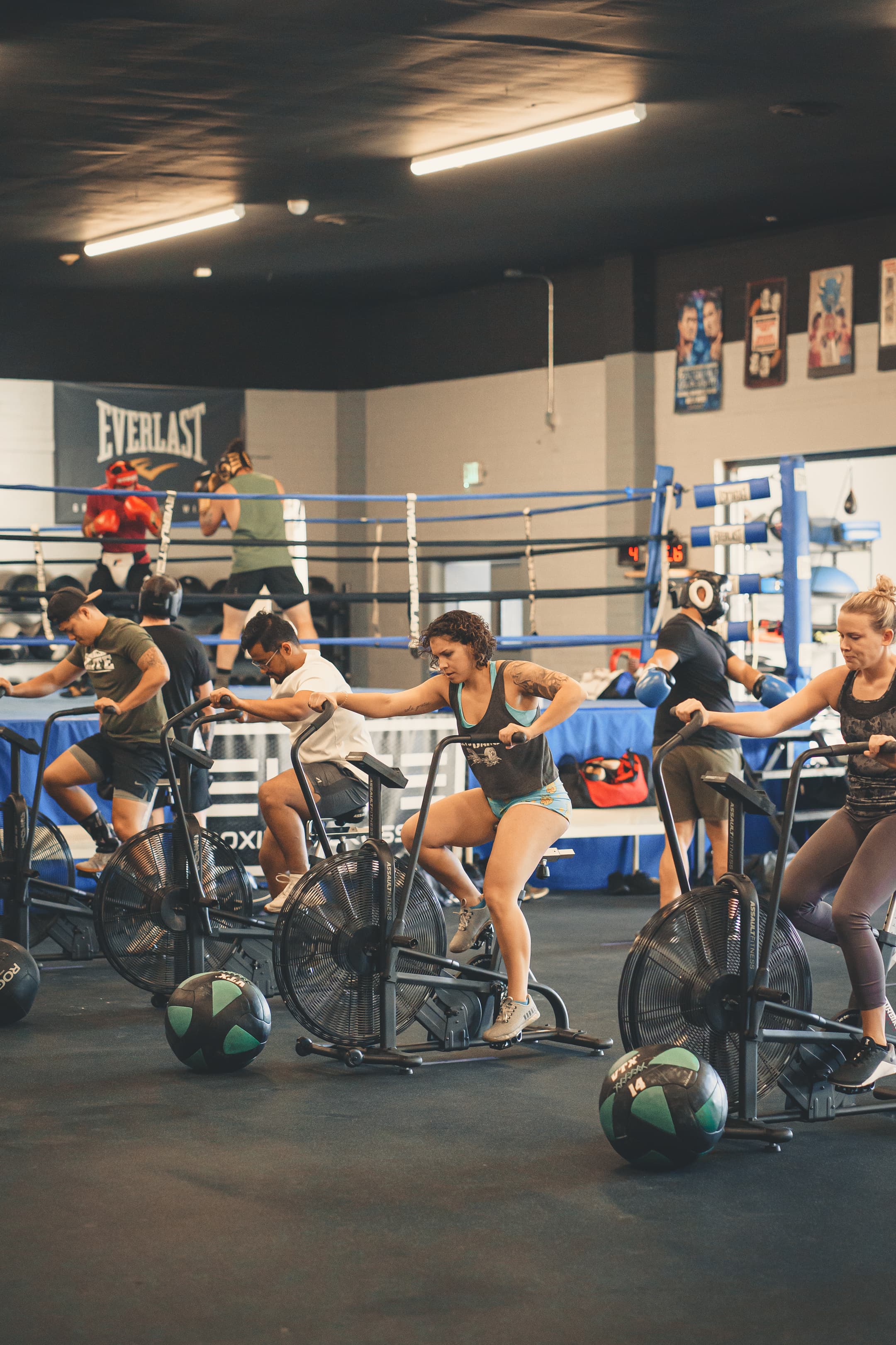 Main image of Elite Boxing & CrossFit