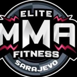 Elite MMA gym logo