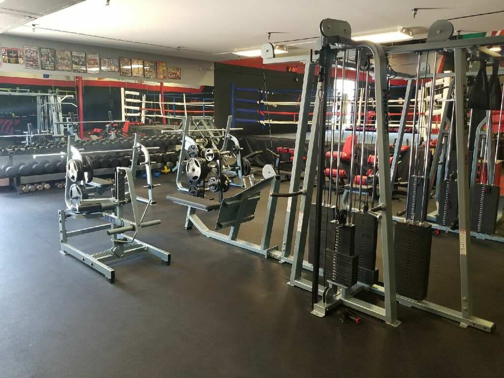Main image of Elite Muay Thai & Fitness