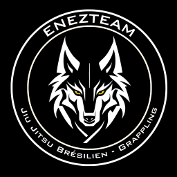 EnezTeam logo