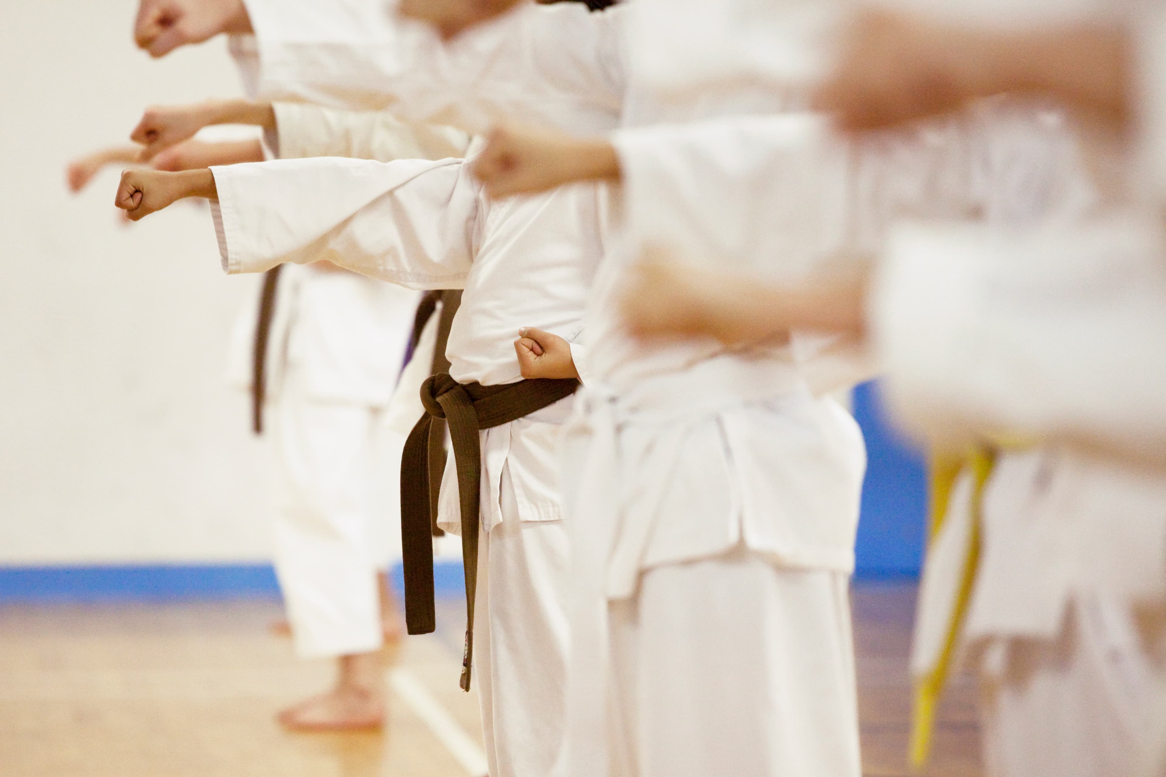 Main image of Ernie Reyes' West Coast World Martial Arts - Fremont